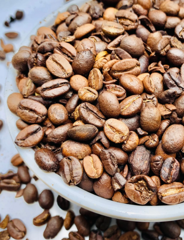 Coffee Plantation Hacienda Flandes